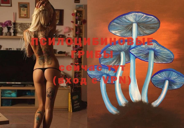 мескалин Нея