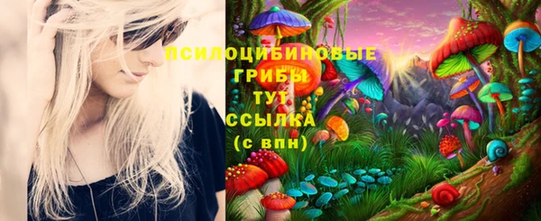амф Нефтекумск